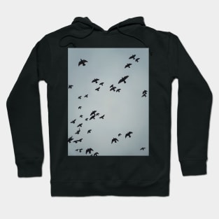 flying migratory birds Hoodie